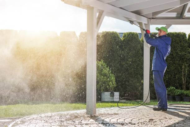 Best House Exterior Washing  in Loogootee, IN
